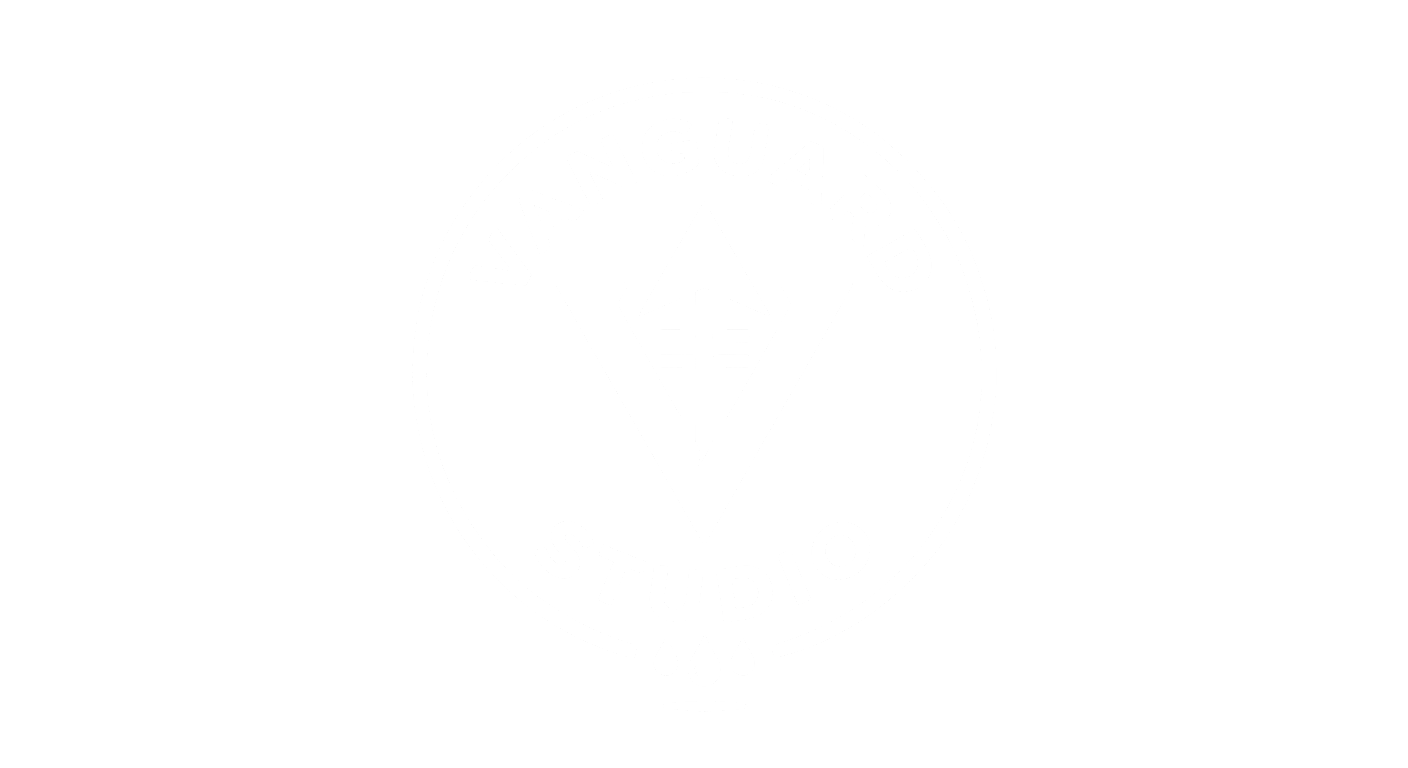 logo_vs_white